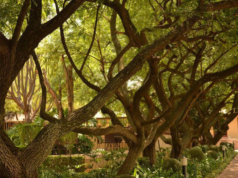 Black Eagle Hotel & Spa روديبورت المظهر الخارجي الصورة